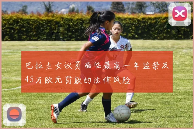 巴拉圭女议员面临最高一年监禁及45万欧元罚款的法律风险